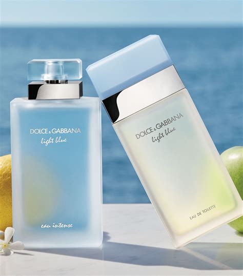 dolce gabbana edt light blue|boots d&g light blue.